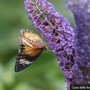 Per un’estate alla scoperta della natura