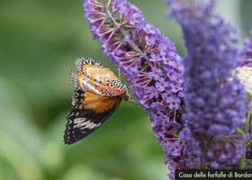 Per un’estate alla scoperta della natura