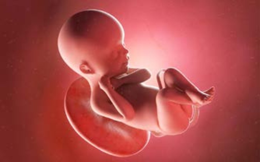 Come si misura il feto?